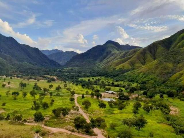 Sítio e chácara venda em Região Geográfica Imediata de Uruaçu - Niquelândia, Niquelândia