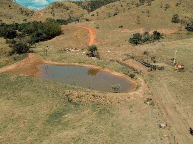 Sítio e chácara venda em Região Geográfica Imediata de São Sebastião do Paraíso, São Sebastião do Paraíso