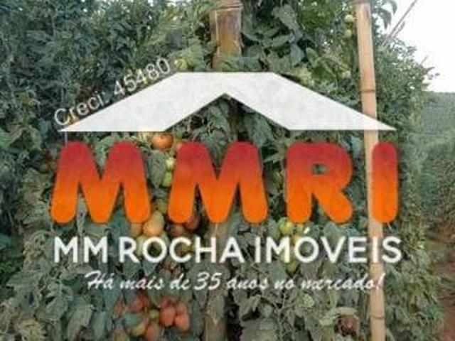Sítio e chácara venda em Região Imediata de Itapeva, Ribeirão Branco