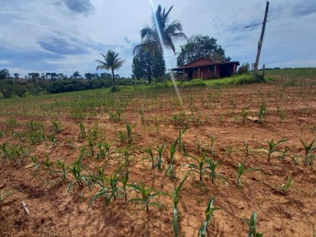 Sítio e chácara venda em Região Geográfica Imediata de Patrocínio, Patrocínio