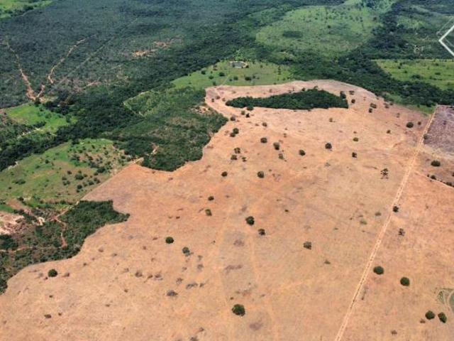 Sítio e chácara venda em Região Geográfica Imediata de Garanhuns, Região Nordeste