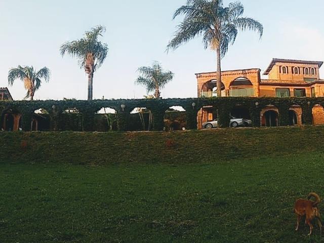 Fazenda aluguel em Região Imediata de Piracicaba, Região Metropolitana de Piracicaba