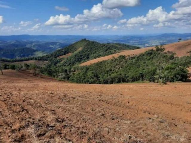 Sítio e chácara venda em Região Geográfica Imediata de São Lourenço, Jesuânia