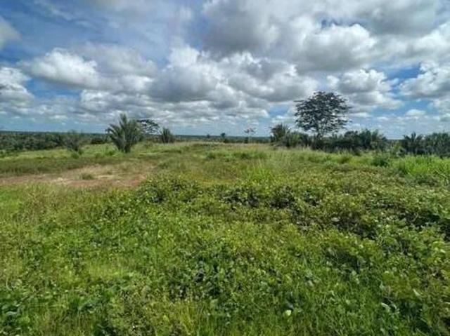 Sítio e chácara venda em Região Geográfica Imediata de Januária, Januária
