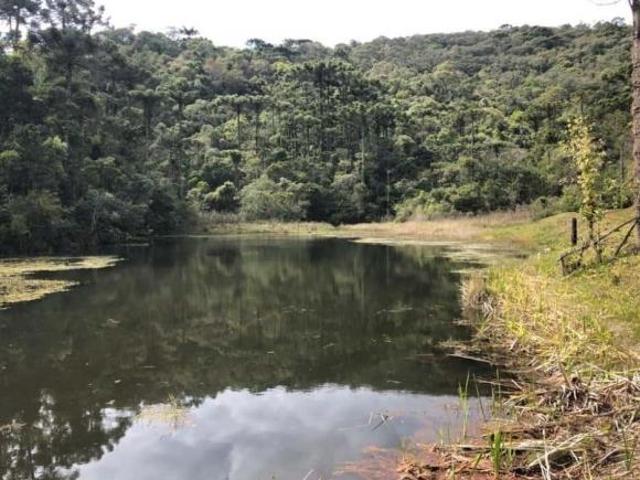 Sítio e chácara venda em Região Geográfica Imediata de Itajubá, Piranguçu