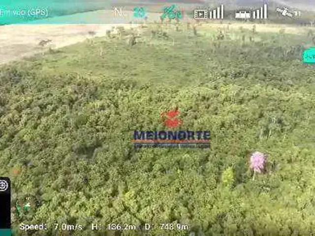 Fazenda venda em Açailândia, Região Nordeste