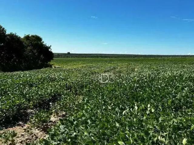 Fazenda venda em Região Geográfica Imediata de Goiás - Itapuranga, Goiás