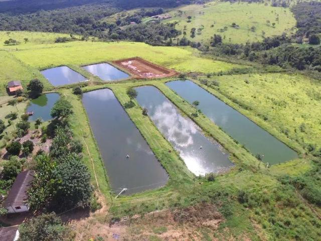 Fazenda venda em Região Geográfica Imediata de Anápolis, Região Integrada de Desenvolvimento do Distrito Federal e Entorno