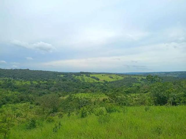 Fazenda venda em Região Geográfica Imediata de Anápolis, Região Integrada de Desenvolvimento do Distrito Federal e Entorno