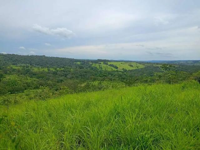 Fazenda venda em Região Geográfica Imediata de Anápolis, Região Integrada de Desenvolvimento do Distrito Federal e Entorno