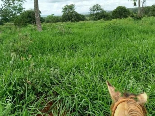 Sítio e chácara venda em Região Geográfica Imediata de Abaeté, Abaeté