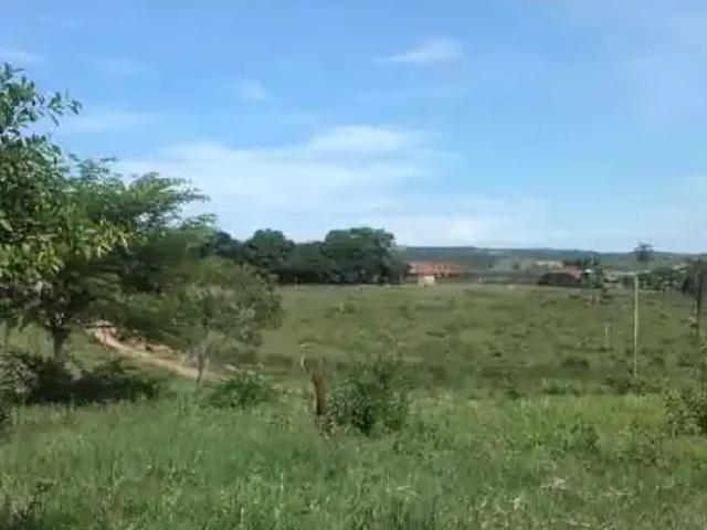 Fazenda venda em Região Geográfica Imediata de Abaeté, Abaeté