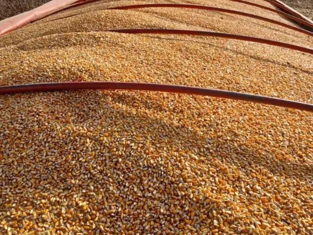Fazenda venda em Região Geográfica Imediata de Paraíso do Tocantins, Abreulândia