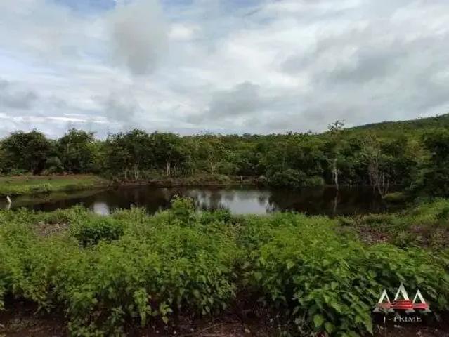 Fazenda venda em Região Geográfica Imediata de Cuiabá, Região Metropolitana do Vale do Rio Cuiabá