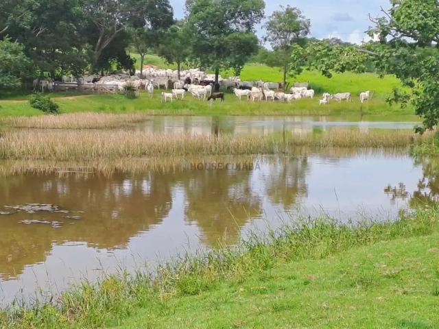 Fazenda venda em Região Geográfica Imediata de Cuiabá, Região Metropolitana do Vale do Rio Cuiabá