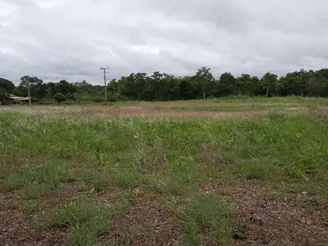 Fazenda venda em Região Geográfica Imediata de Cuiabá, Região Metropolitana do Vale do Rio Cuiabá