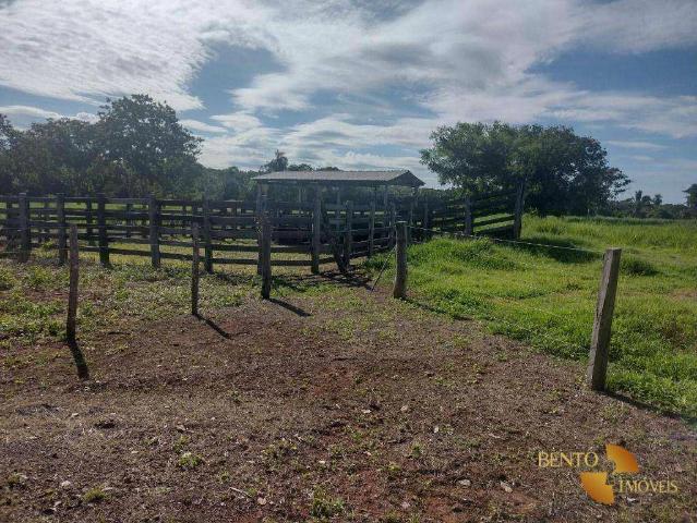 Fazenda venda em Acorizal, Região Geográfica Intermediária de Cuiabá