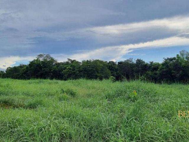 Fazenda venda em Acorizal, Região Geográfica Intermediária de Cuiabá