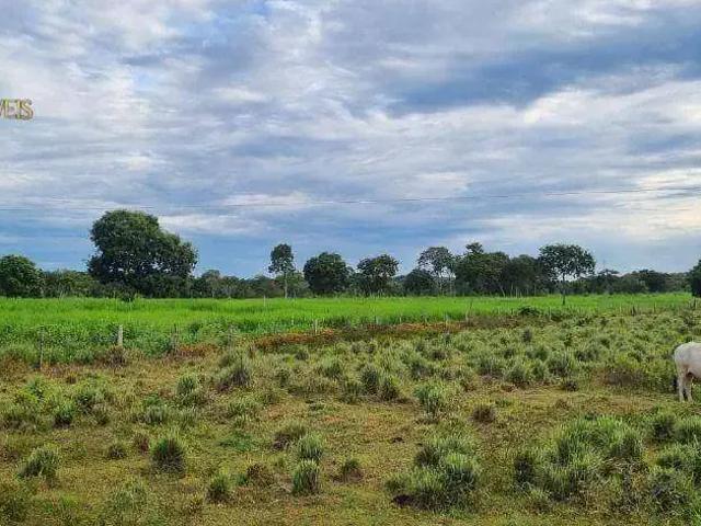 Fazenda venda em Região Geográfica Imediata de Cuiabá, Região Metropolitana do Vale do Rio Cuiabá