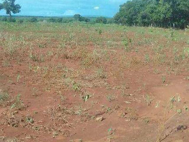 Fazenda venda em Acorizal, Região Geográfica Intermediária de Cuiabá