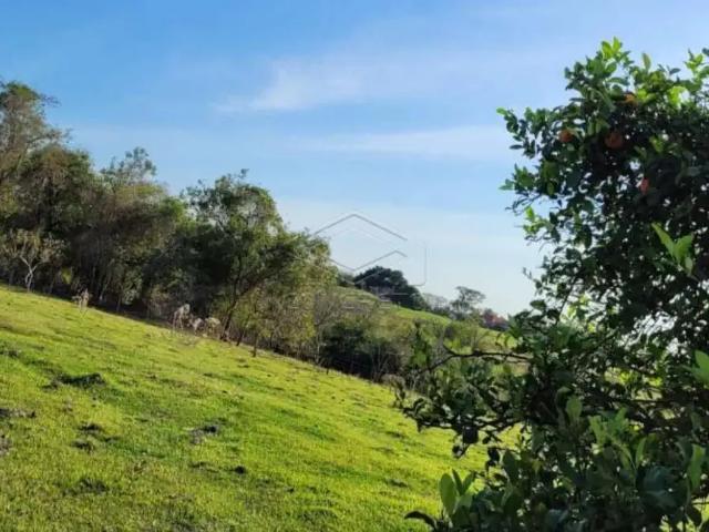 Fazenda venda em Região Imediata de Adamantina-Lucélia, Adamantina