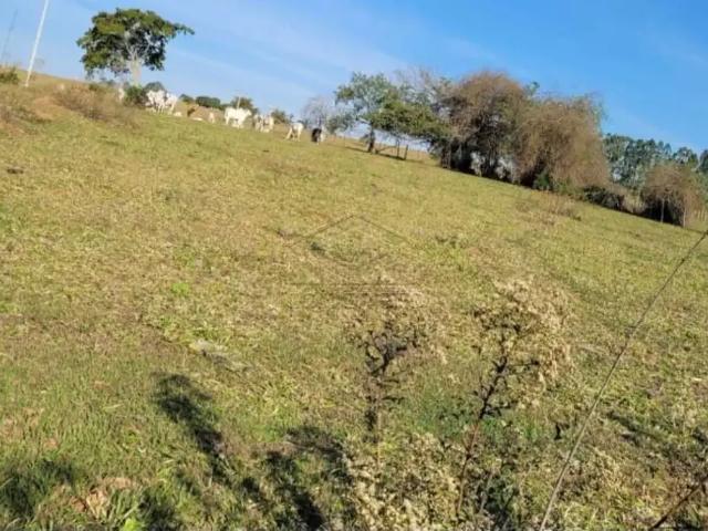 Fazenda venda em Região Imediata de Adamantina-Lucélia, Adamantina