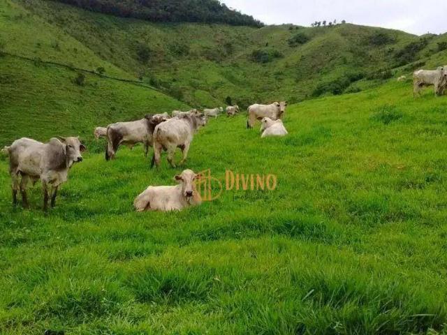 Fazenda venda em Região Geográfica Imediata de Curitiba, Região Metropolitana de Curitiba