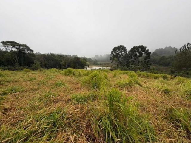 Sítio e chácara venda em Água Azul, Lapa
