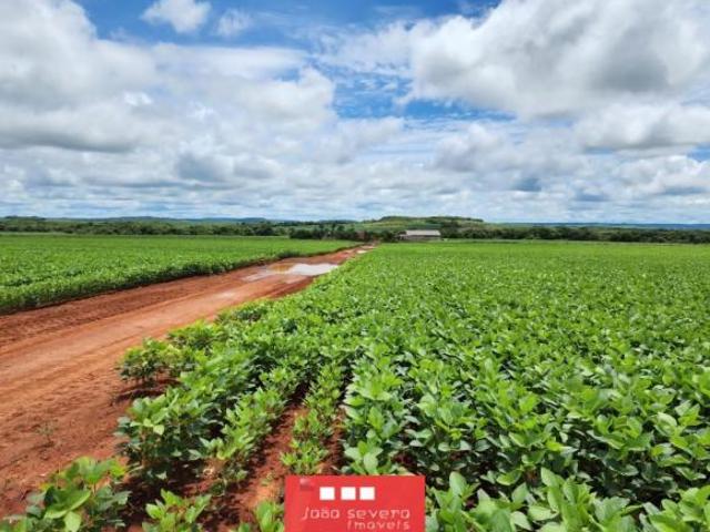 Sítio e chácara venda em Região Geográfica Imediata de Água Boa, Água Boa