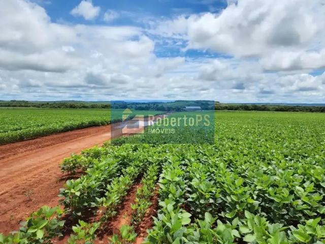 Fazenda venda em Região Geográfica Imediata de Água Boa, Água Boa