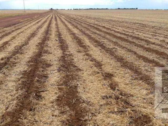 Fazenda venda em Região Geográfica Imediata de Água Boa, Água Boa