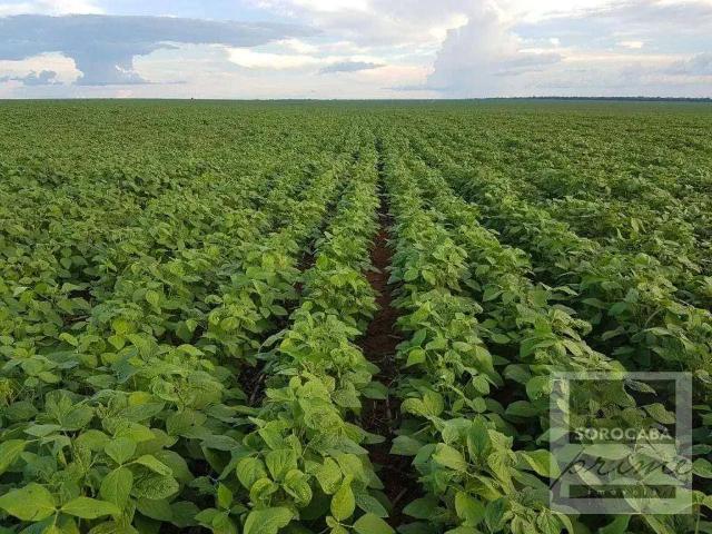 Fazenda venda em Região Geográfica Imediata de Água Boa, Água Boa