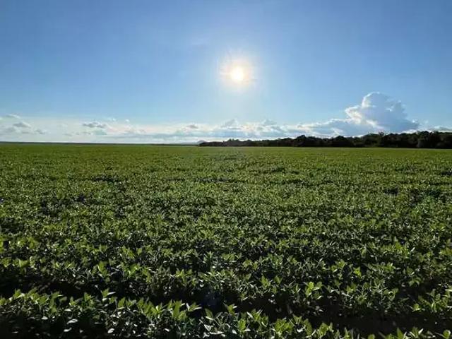 Fazenda venda em Região Geográfica Imediata de Água Boa, Água Boa
