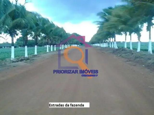 Fazenda venda em Região Geográfica Imediata de Água Boa, Água Boa