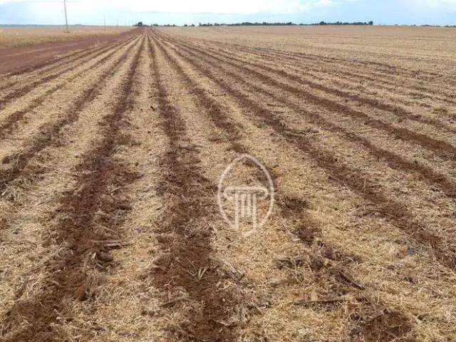 Fazenda venda em Região Geográfica Imediata de Água Boa, Água Boa