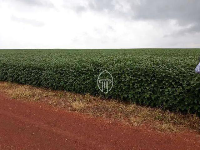 Fazenda venda em Região Geográfica Imediata de Água Boa, Água Boa