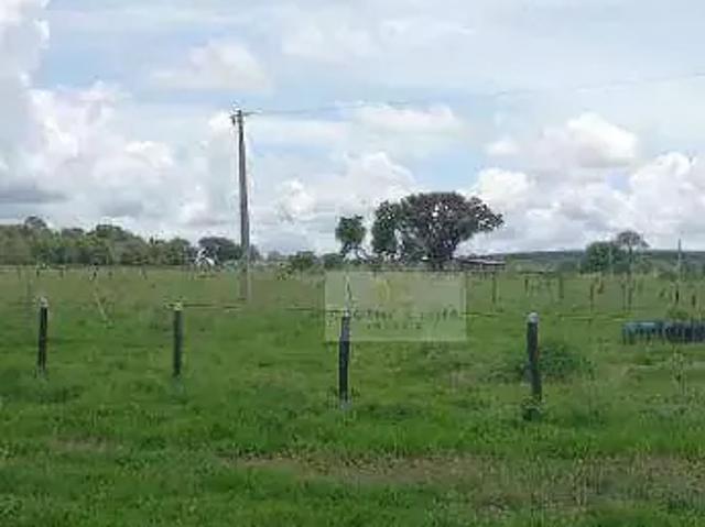 Fazenda venda em Região Geográfica Imediata de Três Lagoas, Água Clara