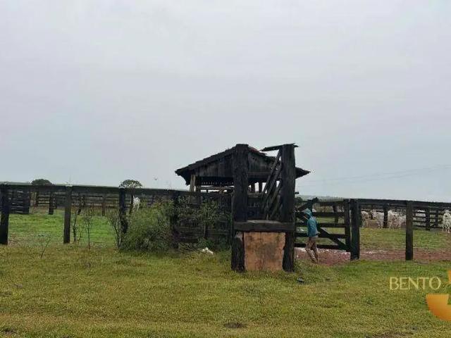 Fazenda venda em Região Geográfica Imediata de Três Lagoas, Água Clara