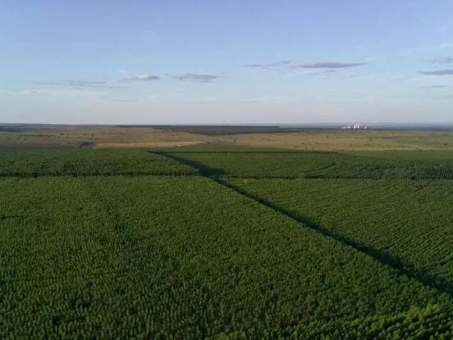 Fazenda venda em Região Geográfica Imediata de Três Lagoas, Água Clara