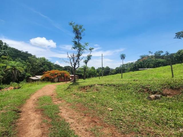 Fazenda venda em Região Geográfica Imediata de Flores de Goiás, Região Integrada de Desenvolvimento do Distrito Federal e Entorno