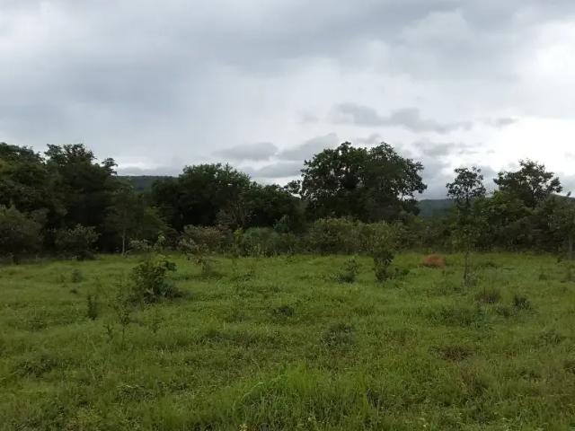 Fazenda venda em Região Geográfica Imediata de Flores de Goiás, Região Integrada de Desenvolvimento do Distrito Federal e Entorno