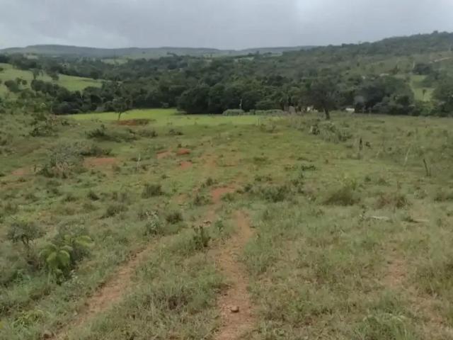Fazenda venda em Região Geográfica Imediata de Flores de Goiás, Região Integrada de Desenvolvimento do Distrito Federal e Entorno