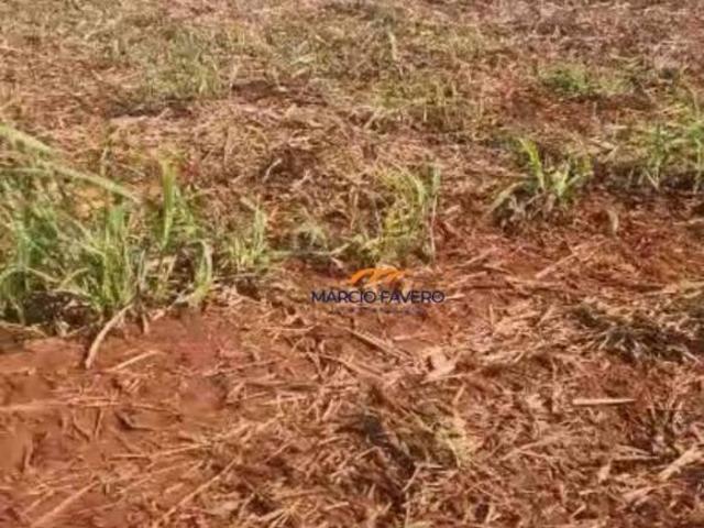 Sítio e chácara venda em Região Imediata de São João da Boa Vista, Aguaí