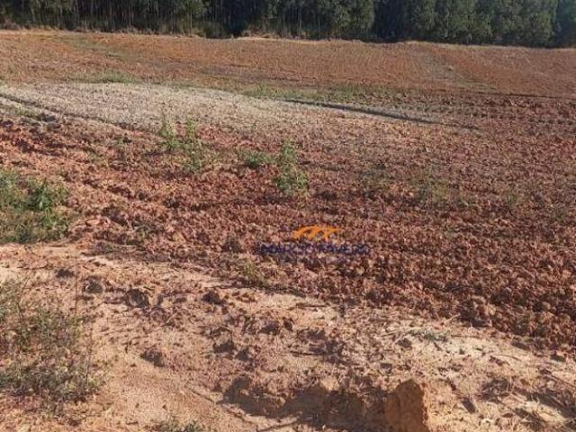 Sítio e chácara venda em Região Imediata de São João da Boa Vista, Aguaí