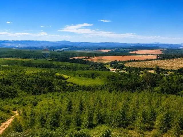 Fazenda venda em Região Imediata de São João da Boa Vista, Aguaí