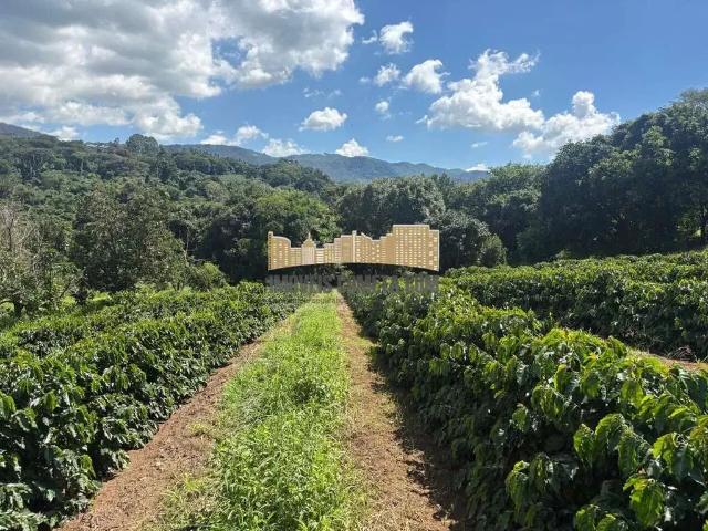 Fazenda venda em Região Imediata de São João da Boa Vista, Águas da Prata