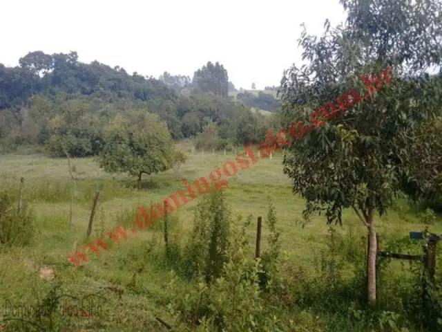 Fazenda venda em Região Imediata de Piracicaba, Região Metropolitana de Piracicaba