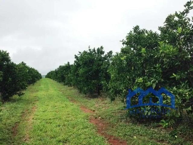 Fazenda venda em Região Imediata de Avaré, Águas de Santa Bárbara