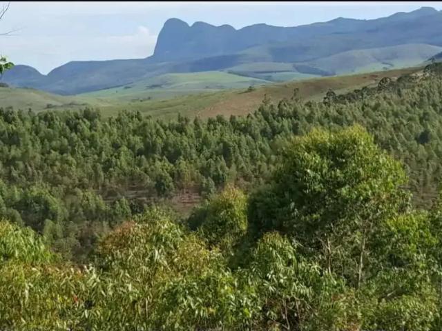 Fazenda venda em Região Geográfica Imediata de Caxambu - Baependi, Aiuruoca