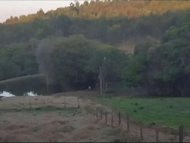 Fazenda venda em Região Geográfica Imediata de Caxambu - Baependi, Aiuruoca